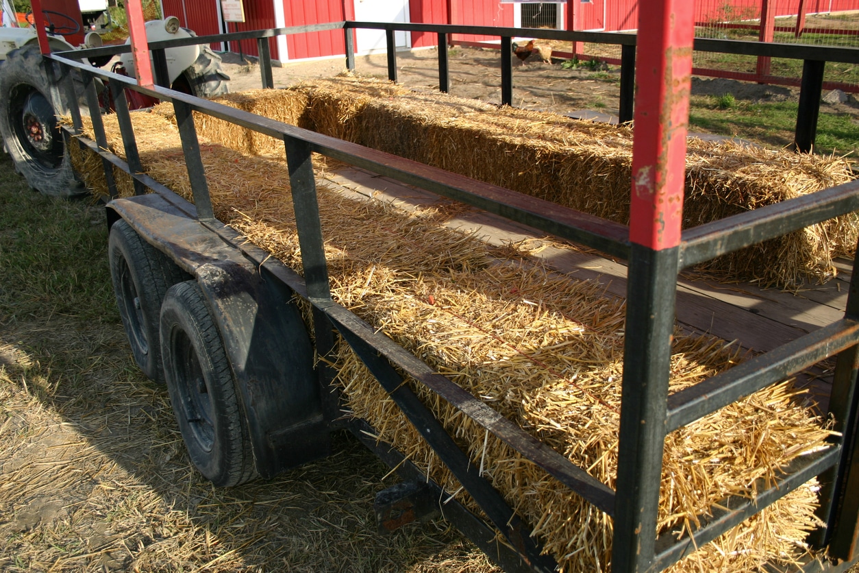Planning the Perfect Fall Hayride